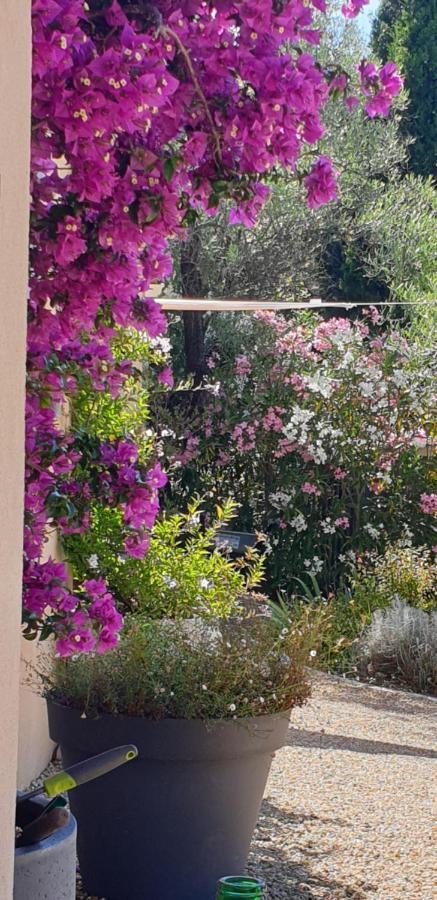 La Bastide Aux Oliviers Hotel Tourrettes-sur-Loup Esterno foto
