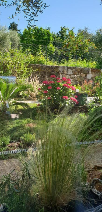 La Bastide Aux Oliviers Hotel Tourrettes-sur-Loup Esterno foto