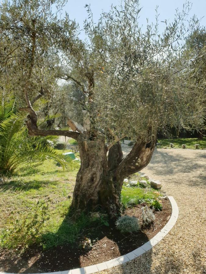 La Bastide Aux Oliviers Hotel Tourrettes-sur-Loup Esterno foto